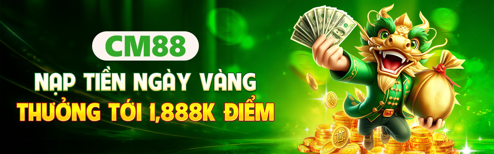 BANER CM88